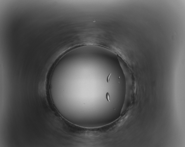 X0000089740292200706281612