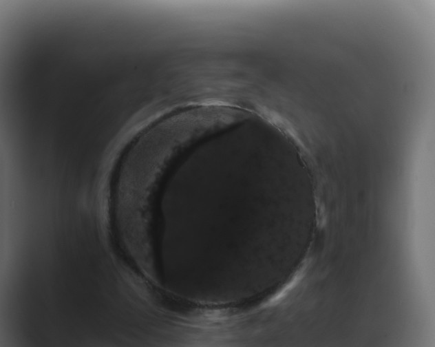 X0000089740295200706281612