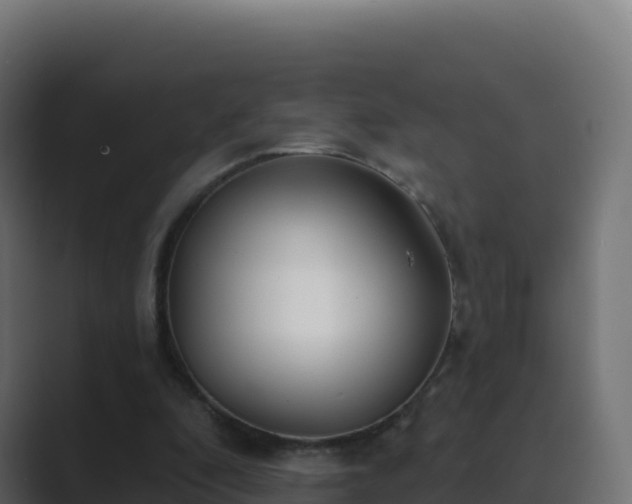 X0000089740296200706281612