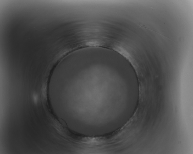 X0000089740297200706281612