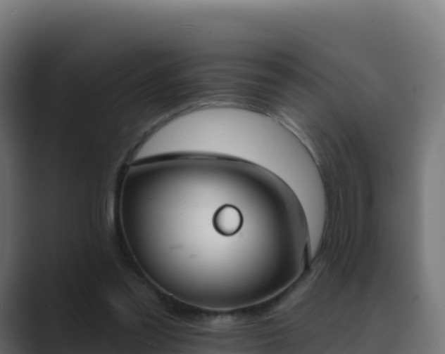 X0000089740301200706281612