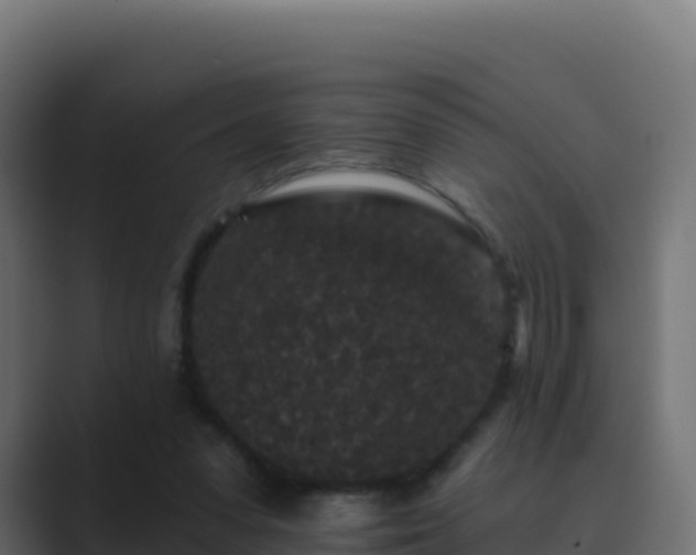 X0000089740303200706281612