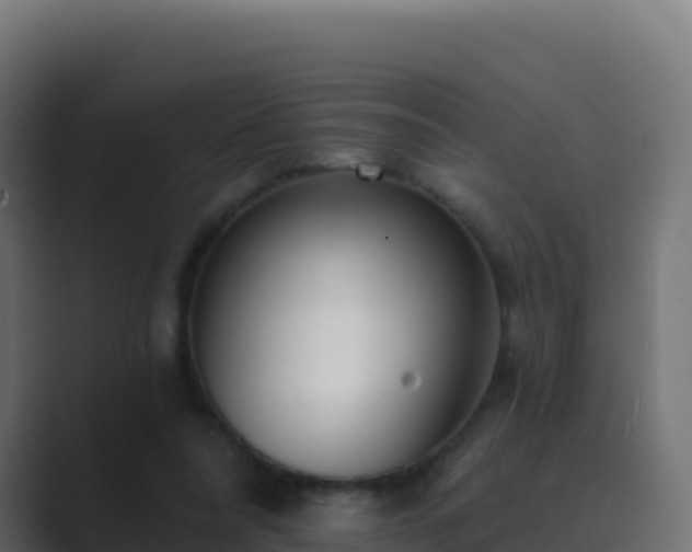 X0000089740304200706281612