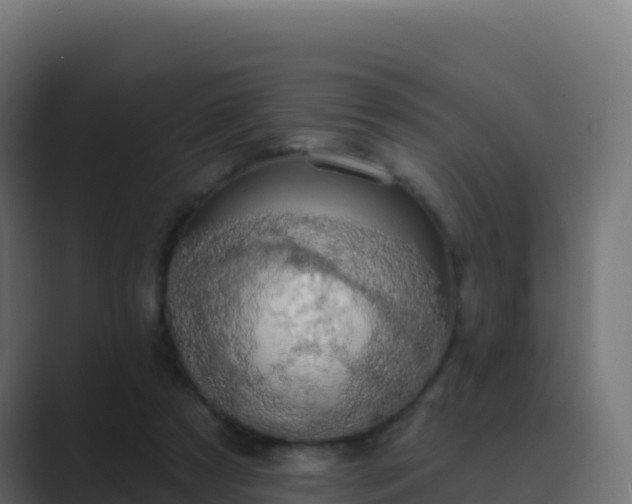 X0000089740305200706281612