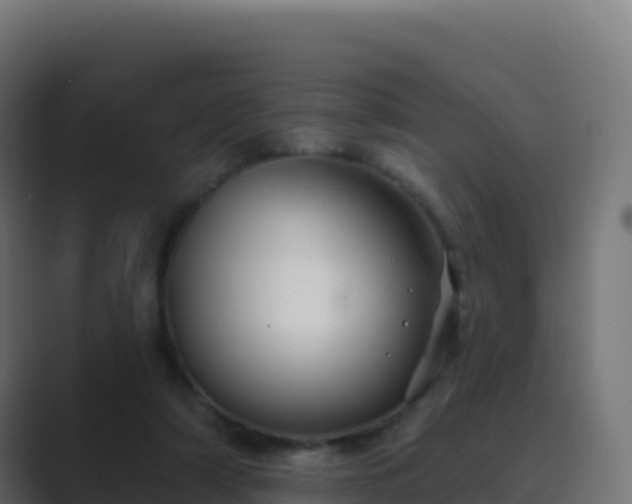 X0000089740306200706281612