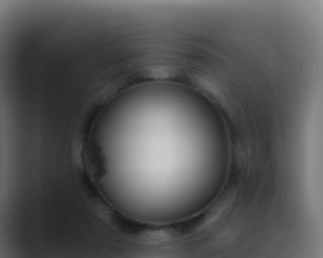 X0000089740307200706281612