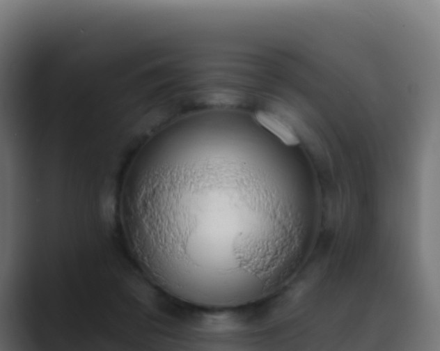 X0000089740309200706281612