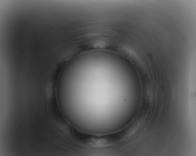 X0000089740311200706281612