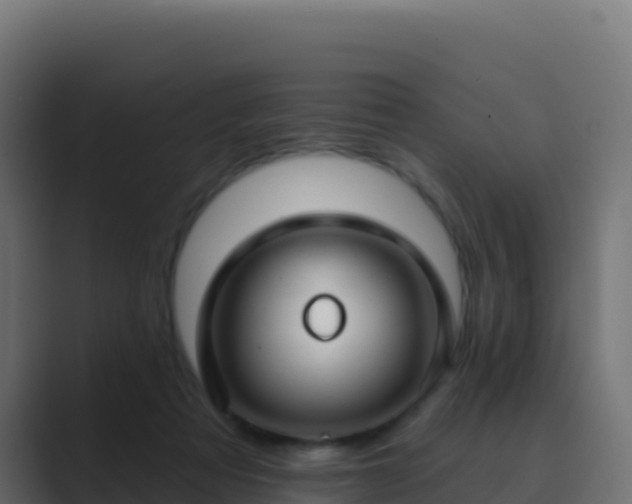 X0000089740313200706281612