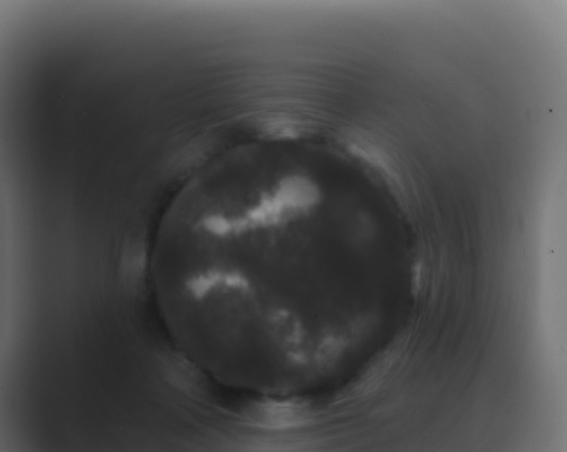 X0000089740314200706281612