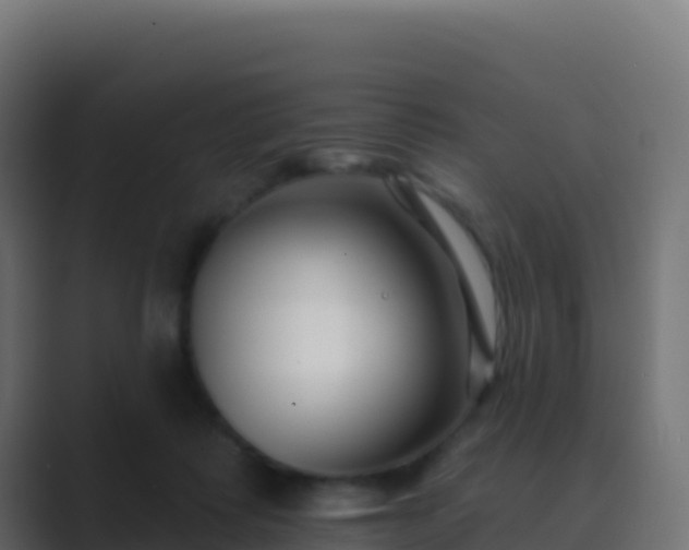 X0000089740315200706281612