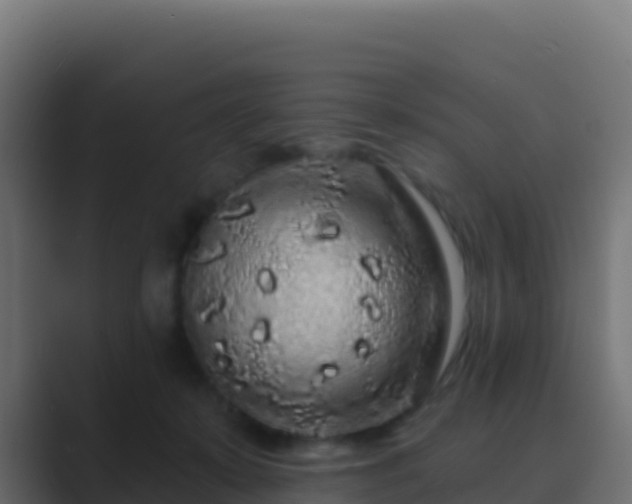 X0000089740319200706281612