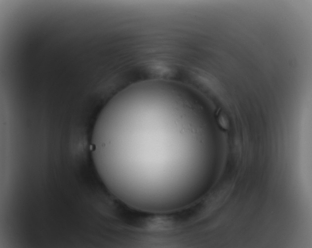 X0000089740320200706281612