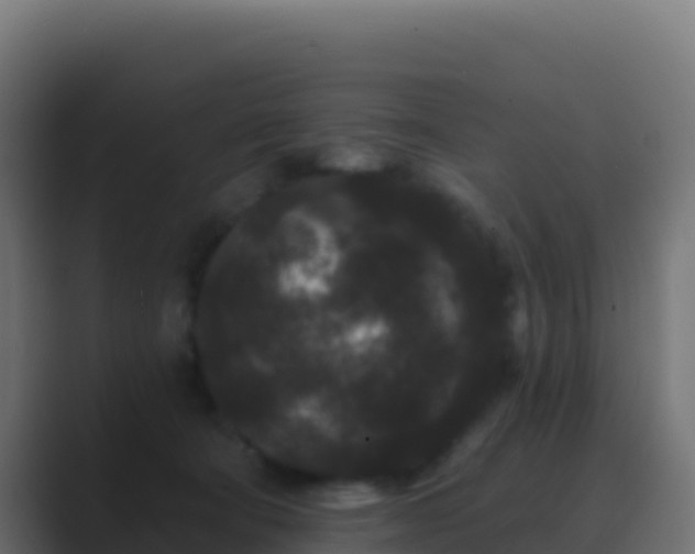 X0000089740322200706281612