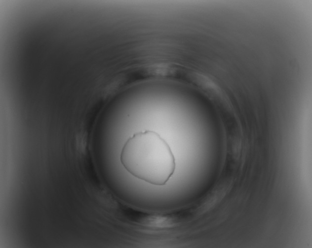 X0000089740326200706281612