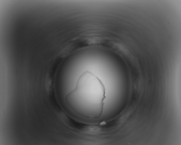 X0000089740327200706281612