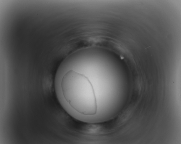 X0000089740328200706281612