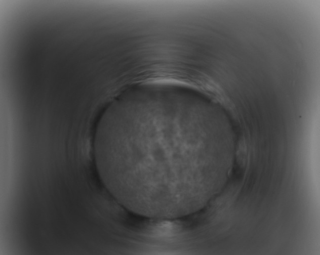 X0000089740330200706281612