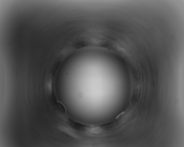 X0000089740334200706281612