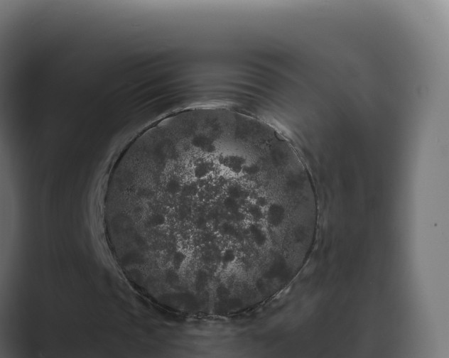 X0000089740337200706281611