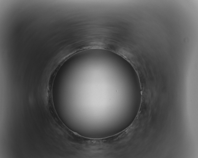 X0000089740338200706281611