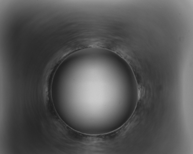 X0000089740339200706281611