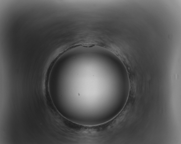 X0000089740340200706281611