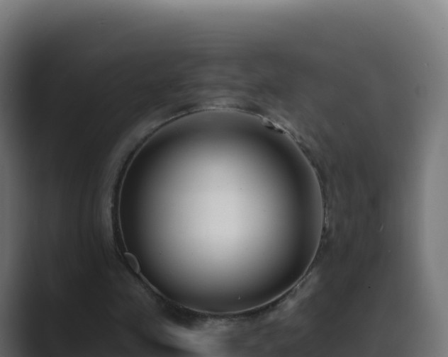 X0000089740341200706281611