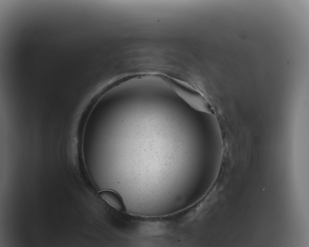 X0000089740342200706281611