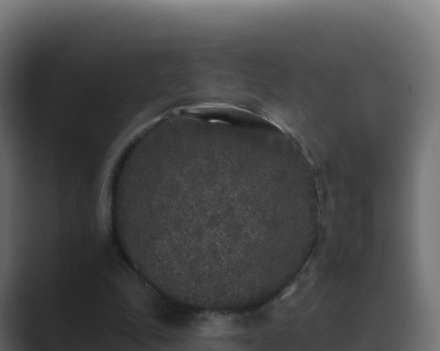 X0000089740343200706281611