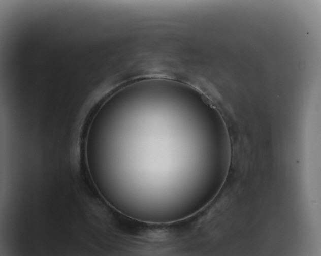 X0000089740344200706281611