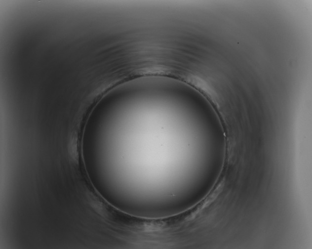 X0000089740345200706281611