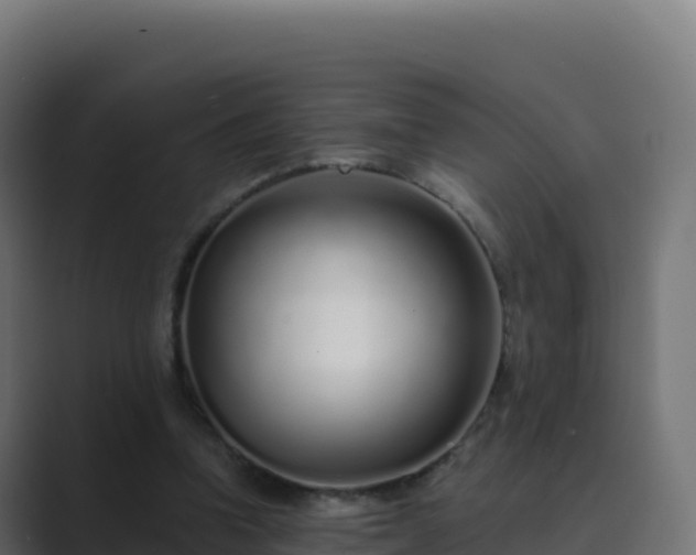 X0000089740346200706281611