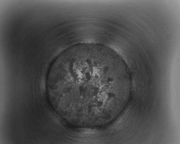 X0000089740347200706281611