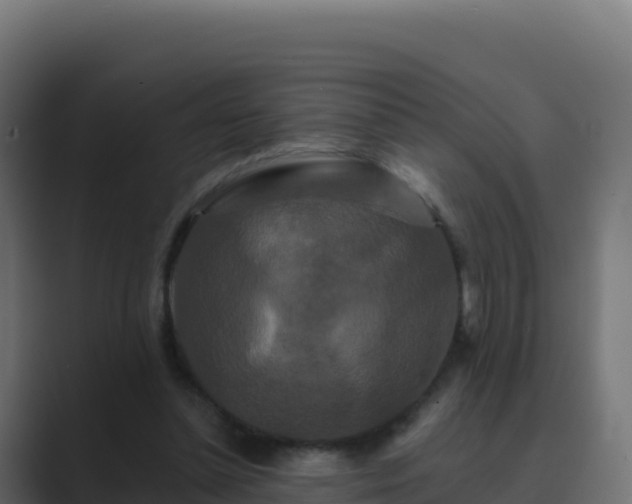 X0000089740348200706281611