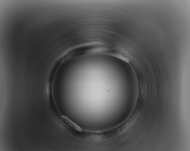 X0000089740350200706281611