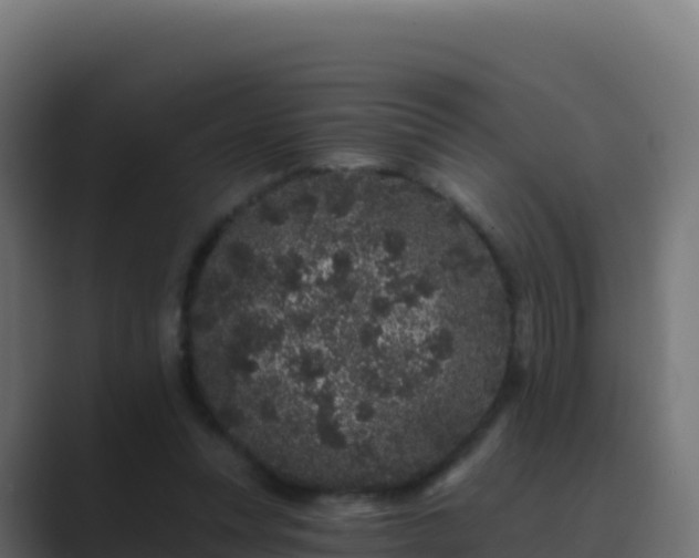 X0000089740351200706281611