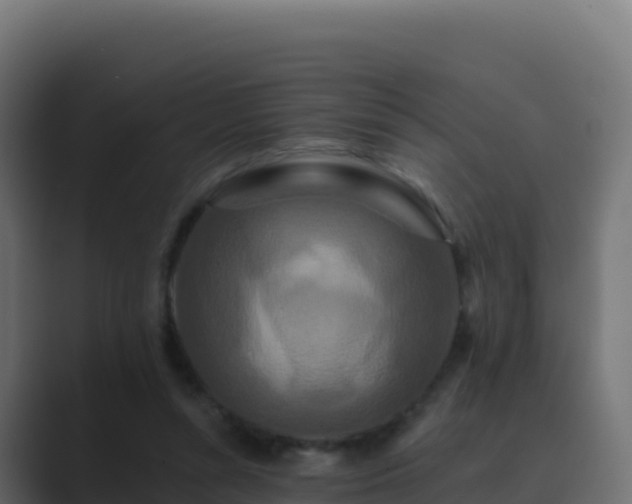 X0000089740352200706281611