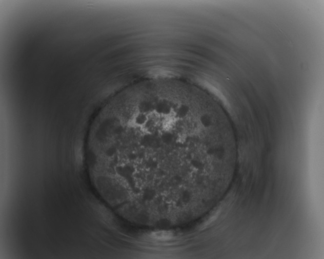 X0000089740353200706281611