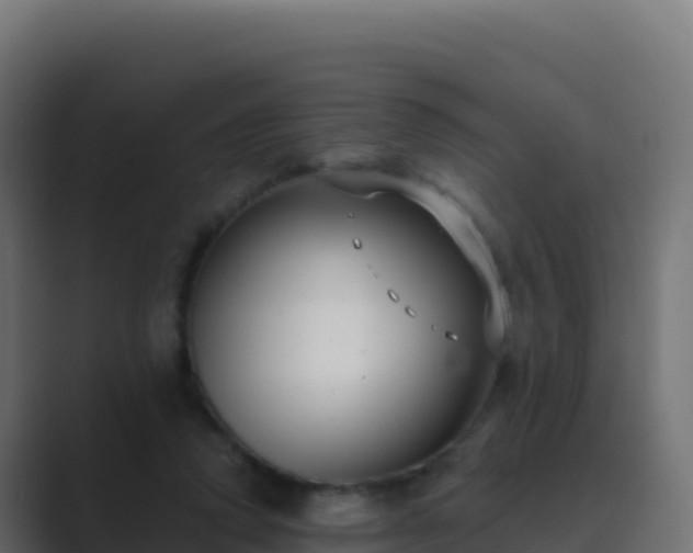 X0000089740354200706281611