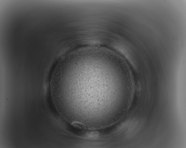 X0000089740355200706281611