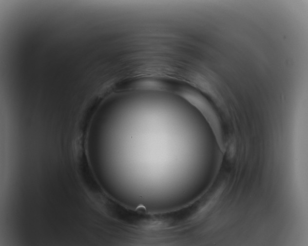 X0000089740356200706281611