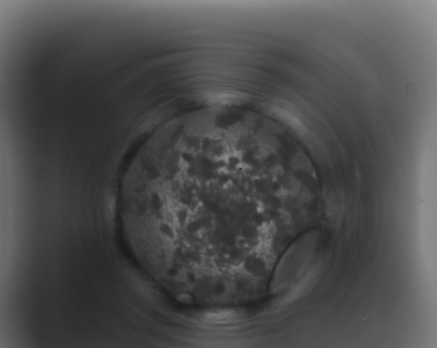 X0000089740357200706281611