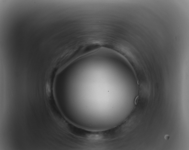 X0000089740358200706281611