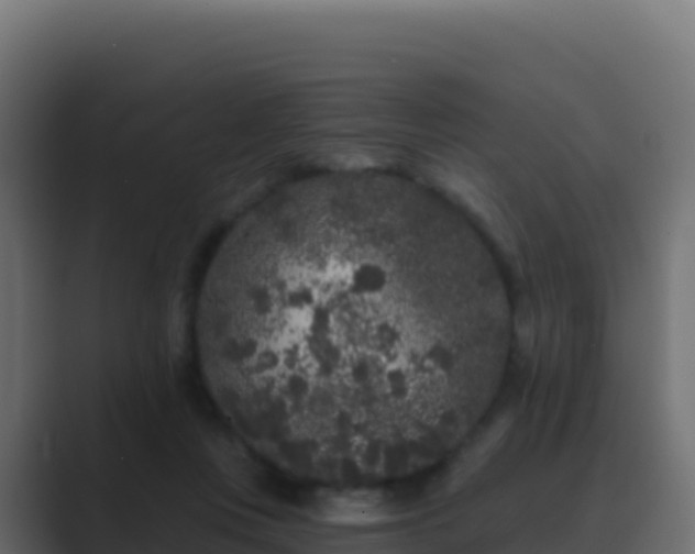 X0000089740359200706281611