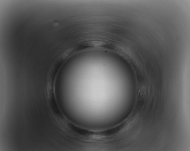 X0000089740360200706281611