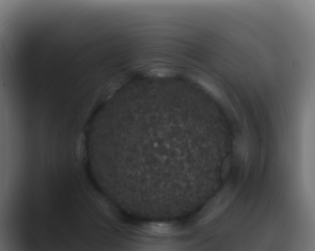 X0000089740361200706281612