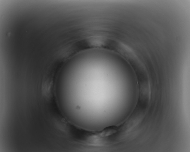 X0000089740364200706281612