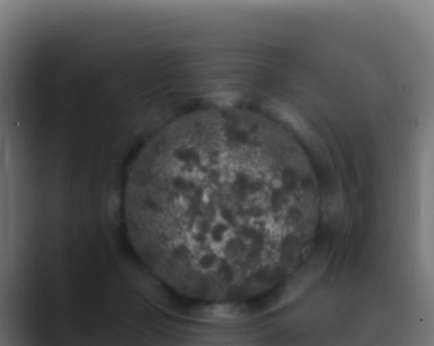 X0000089740365200706281612