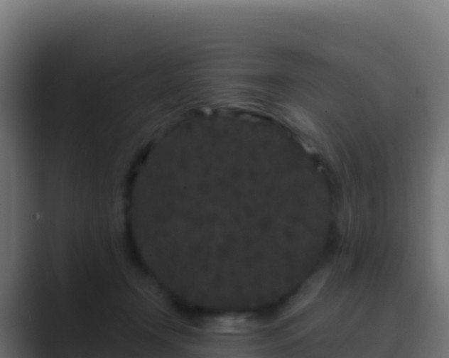 X0000089740366200706281612